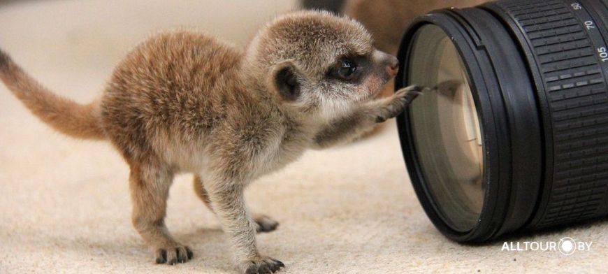 Путешествие по США Путешествие по США