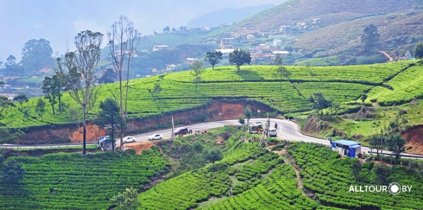 Нувара Элия Нувара Элия