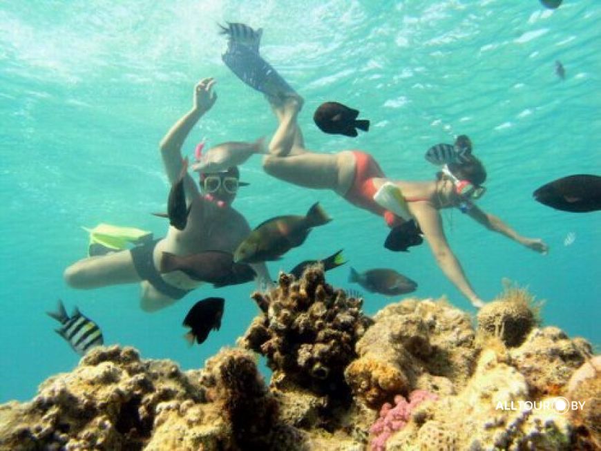 Самое красивое море? В Египте! Самое красивое море? В Египте!