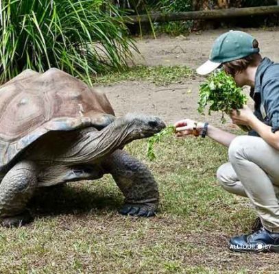 Остров Черепах на Занзибаре
