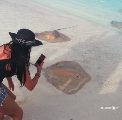 Отдых на Мальдивах с ОЛЛТУР Отдых на Мальдивах с ОЛЛТУР